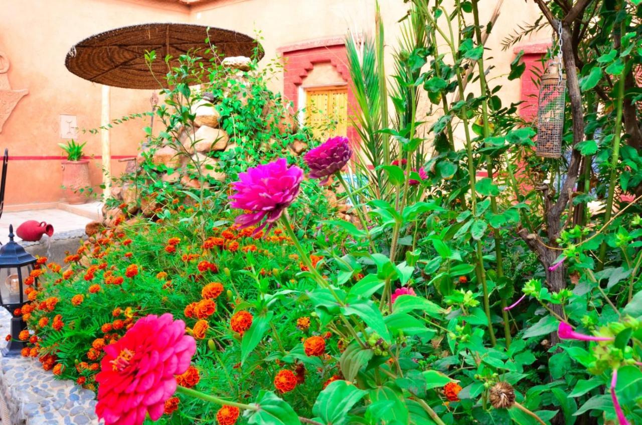 Kasbah Tussna Hotel Boumalne Екстериор снимка
